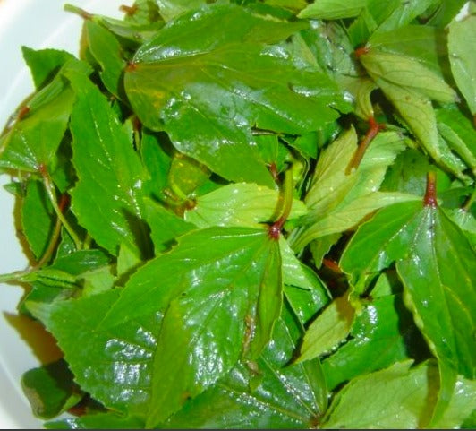 Dry Gongura Leaves